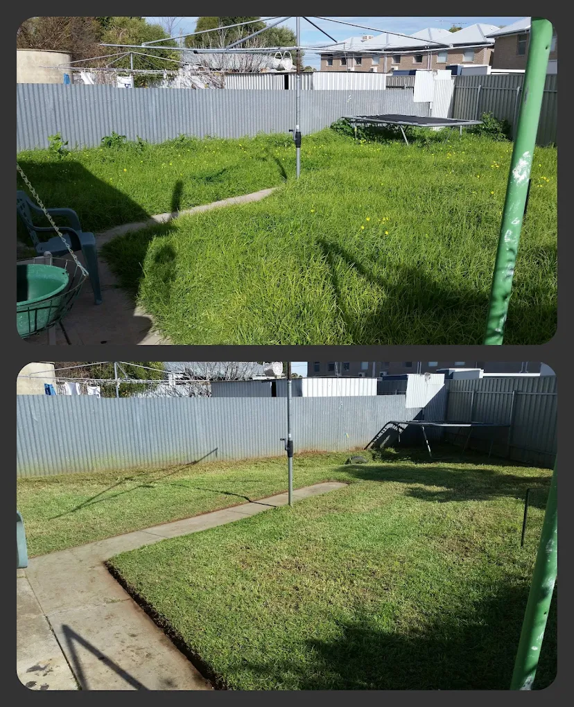 Backyard cleared of long grass and cut back to a tidy, usable lawn