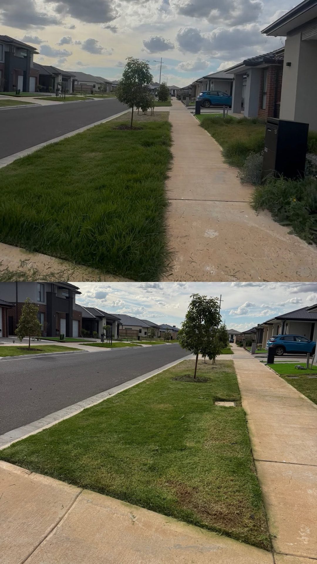 Nature strip and verge in a new Melbourne estate, mown and edged to a clean line